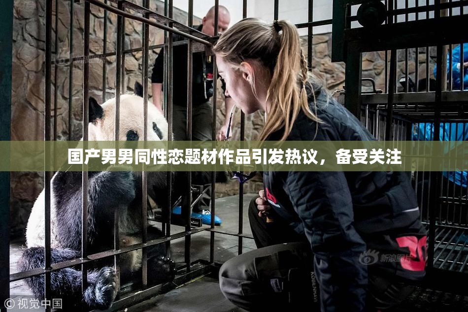 国产男男同性恋题材作品引发热议，备受关注