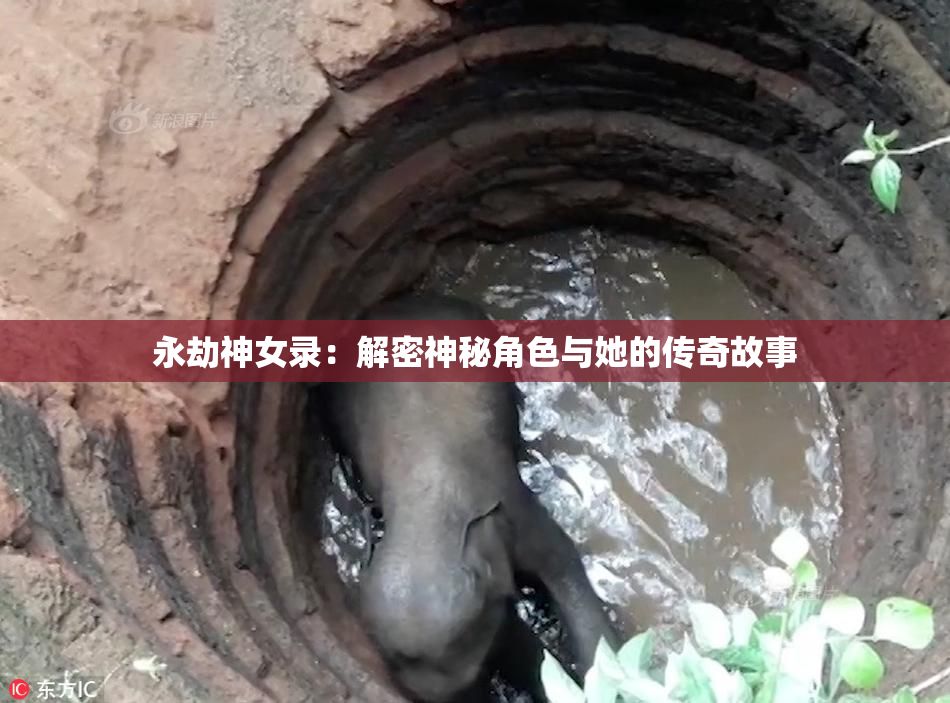 永劫神女录：解密神秘角色与她的传奇故事