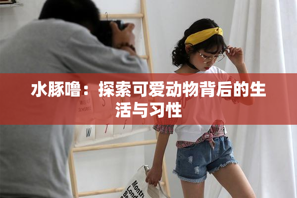 水豚噜：探索可爱动物背后的生活与习性