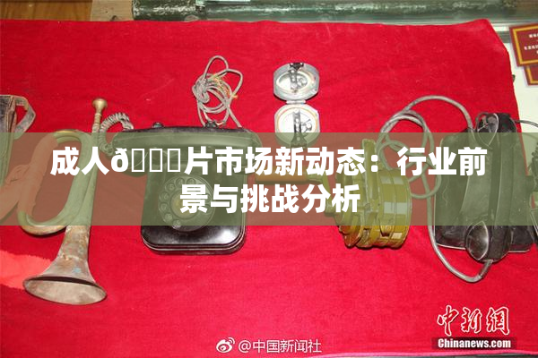 成人🔞片市场新动态：行业前景与挑战分析