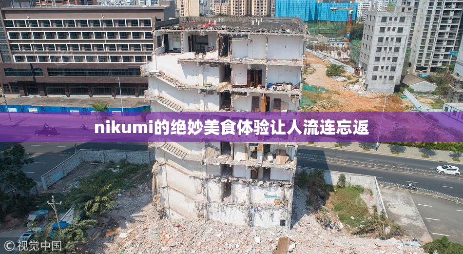 nikumi的绝妙美食体验让人流连忘返