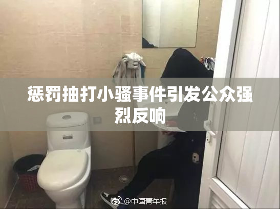惩罚抽打小骚事件引发公众强烈反响