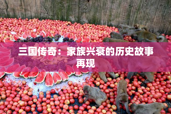 三国传奇：家族兴衰的历史故事再现