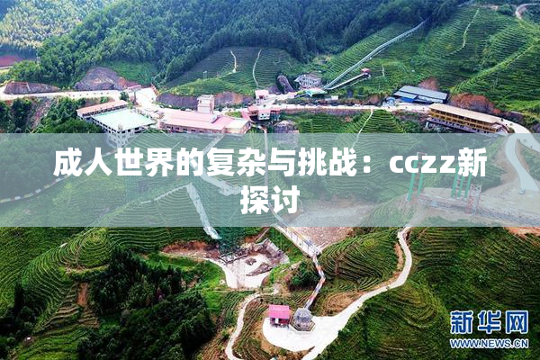 成人世界的复杂与挑战：cczz新探讨