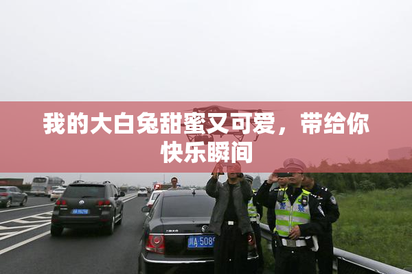 我的大白兔甜蜜又可爱，带给你快乐瞬间