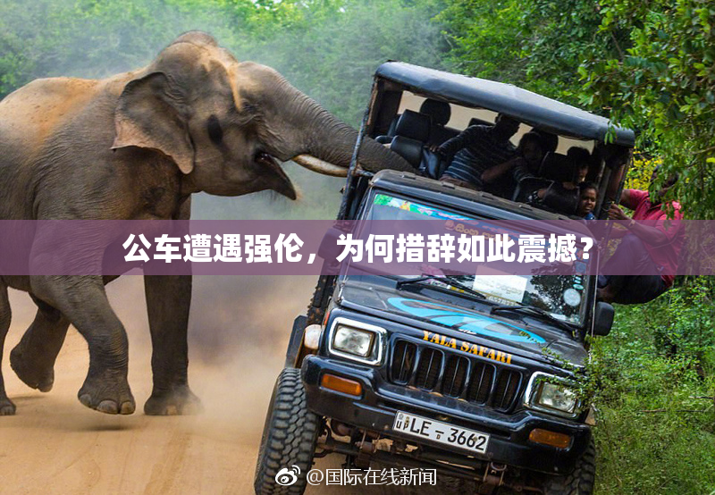 公车遭遇强伦，为何措辞如此震撼？