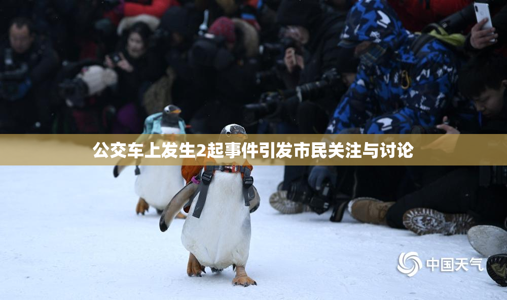 公交车上发生2起事件引发市民关注与讨论