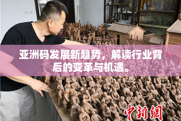 亚洲码发展新趋势，解读行业背后的变革与机遇。