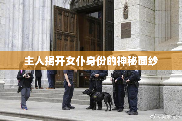 主人揭开女仆身份的神秘面纱