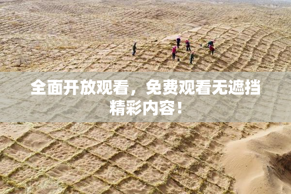 全面开放观看，免费观看无遮挡精彩内容！