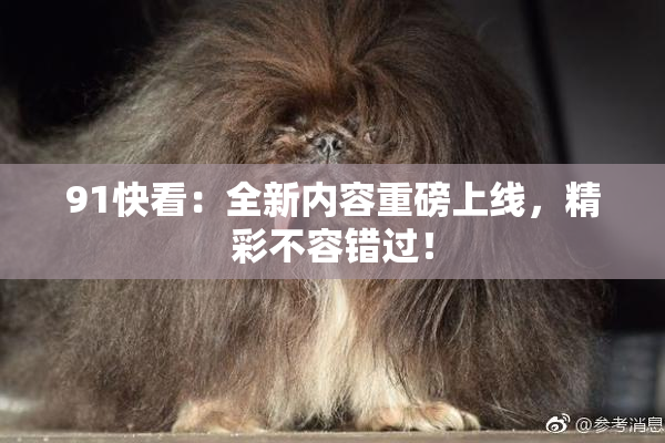 91快看：全新内容重磅上线，精彩不容错过！