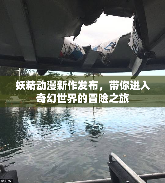 妖精动漫新作发布，带你进入奇幻世界的冒险之旅