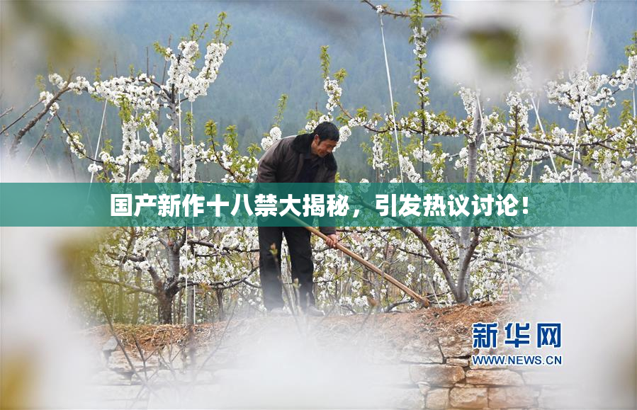 国产新作十八禁大揭秘，引发热议讨论！