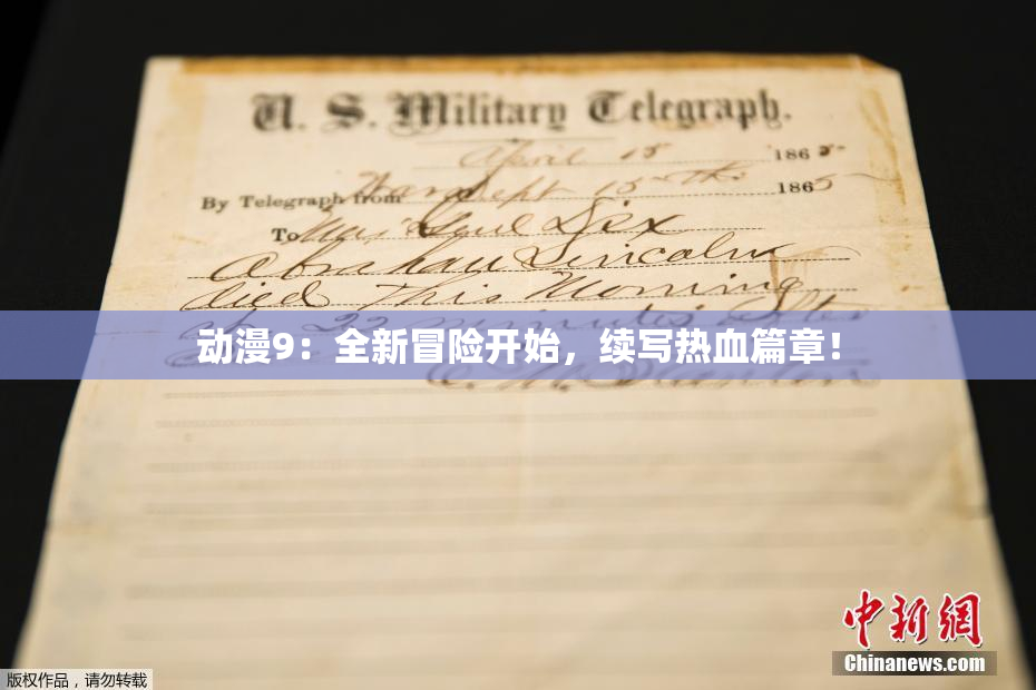 动漫9：全新冒险开始，续写热血篇章！