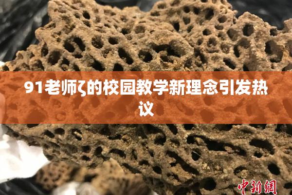 91老师ζ的校园教学新理念引发热议
