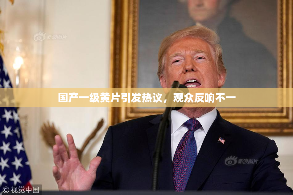 国产一级黄片引发热议，观众反响不一