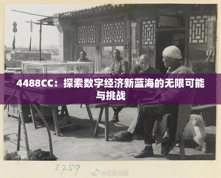 4488CC：探索数字经济新蓝海的无限可能与挑战