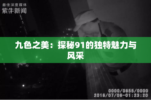 九色之美：探秘91的独特魅力与风采