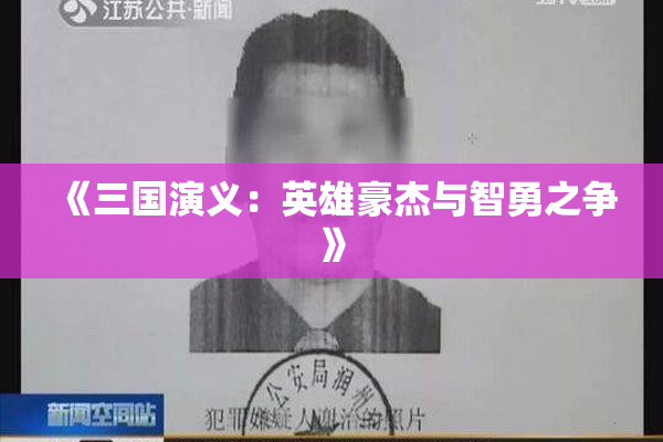 《三国演义：英雄豪杰与智勇之争》