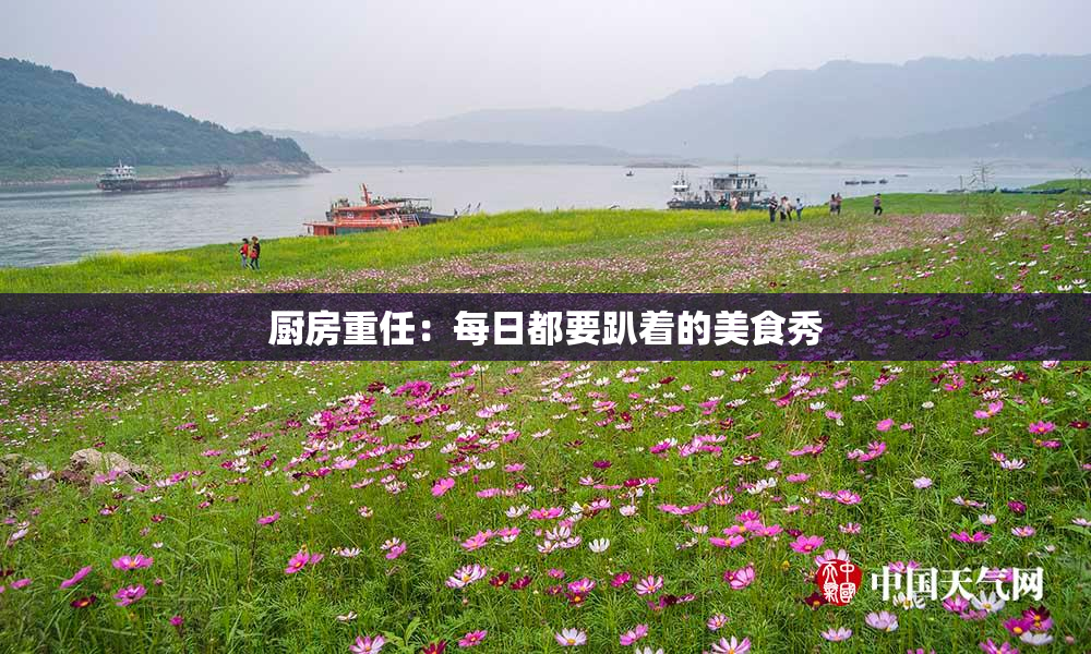 厨房重任：每日都要趴着的美食秀