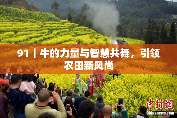 91丨牛的力量与智慧共舞，引领农田新风尚