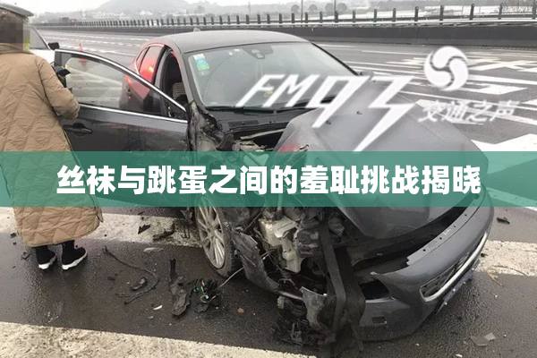 丝袜与跳蛋之间的羞耻挑战揭晓
