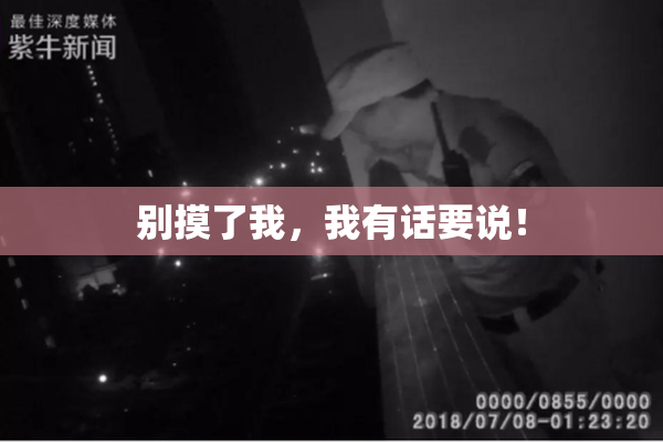 别摸了我，我有话要说！