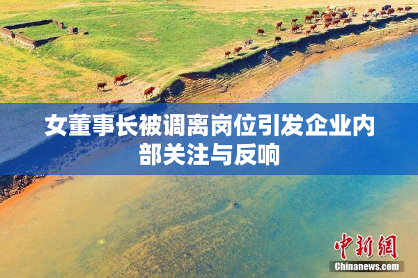 女董事长被调离岗位引发企业内部关注与反响