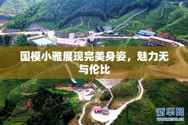 国模小雅展现完美身姿，魅力无与伦比