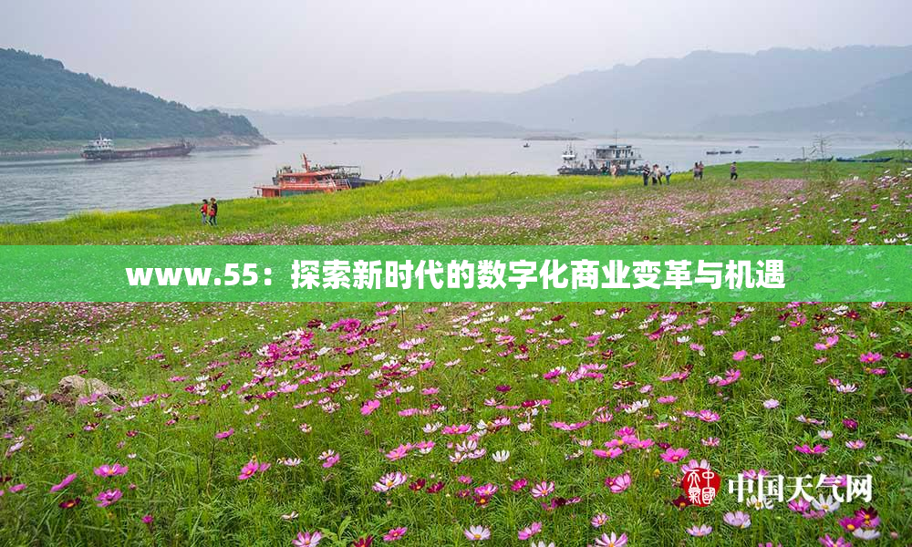 www.55：探索新时代的数字化商业变革与机遇