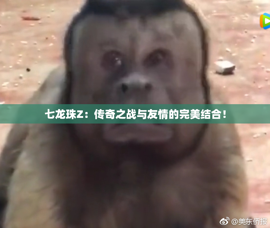 七龙珠Z：传奇之战与友情的完美结合！