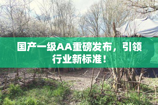 国产一级AA重磅发布，引领行业新标准！