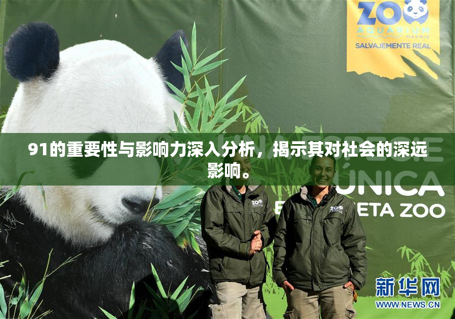 91的重要性与影响力深入分析，揭示其对社会的深远影响。