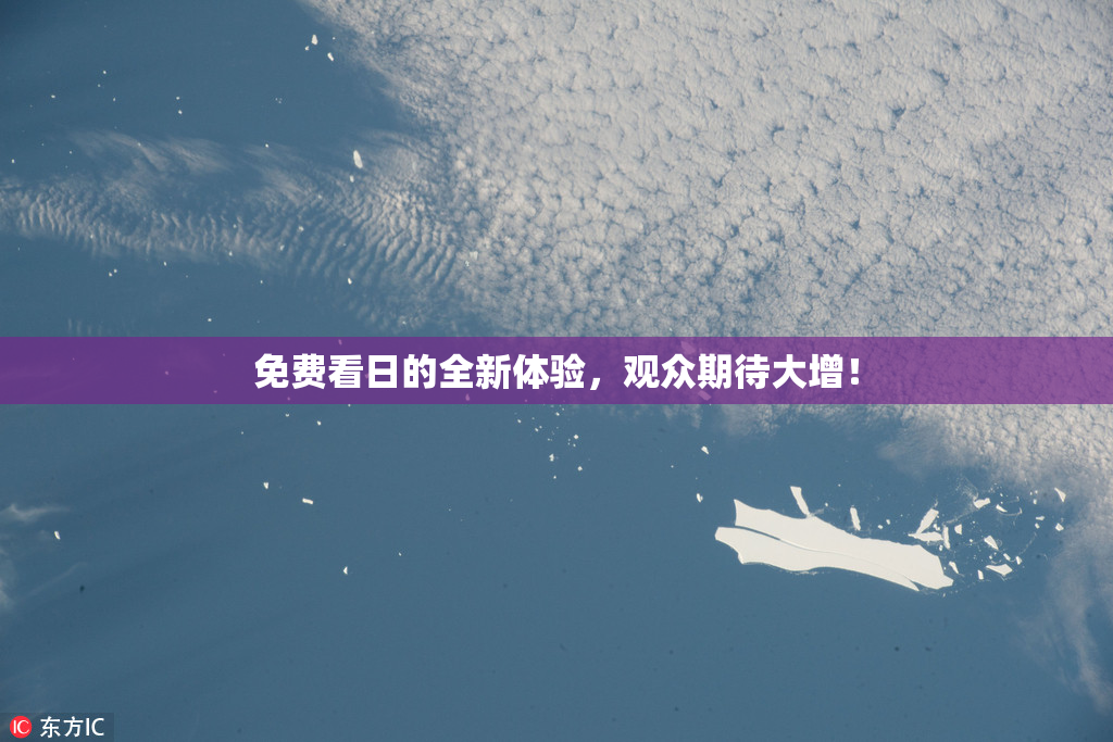 免费看日的全新体验，观众期待大增！