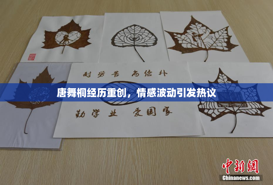 唐舞桐经历重创，情感波动引发热议