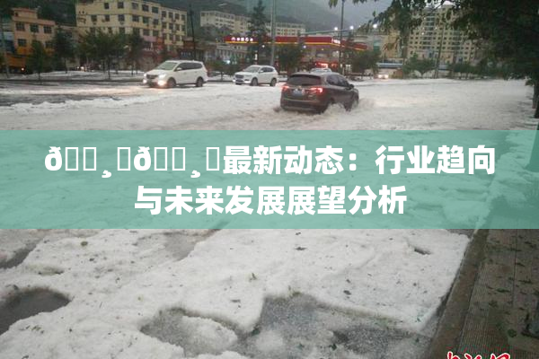 🌸‌🌸‌最新动态：行业趋向与未来发展展望分析