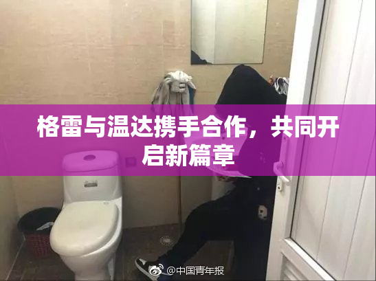 格雷与温达携手合作，共同开启新篇章