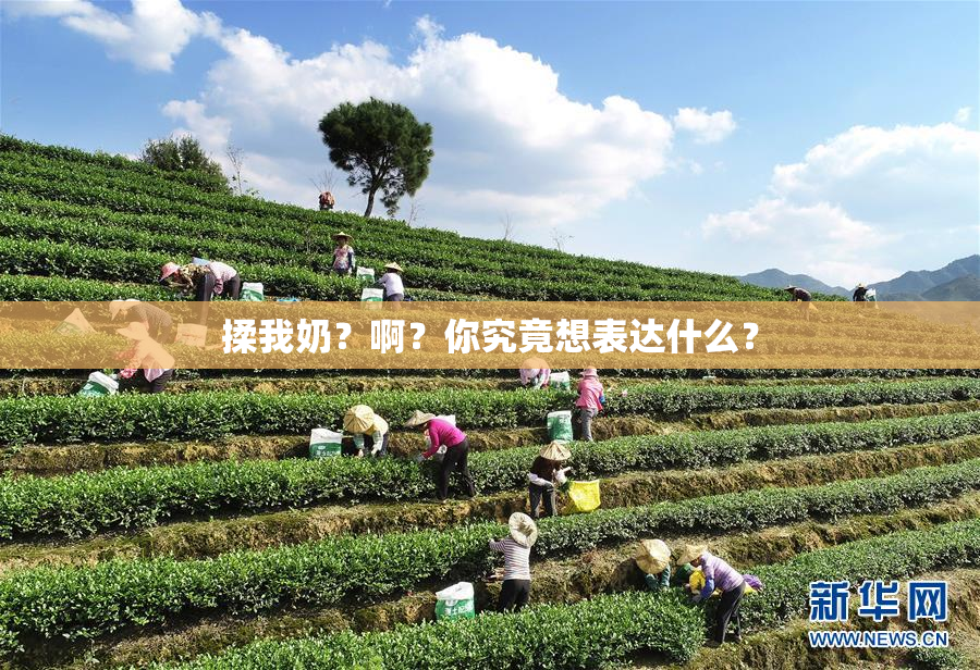 揉我奶？啊？你究竟想表达什么？