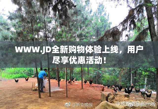 WWW.JD全新购物体验上线，用户尽享优惠活动！