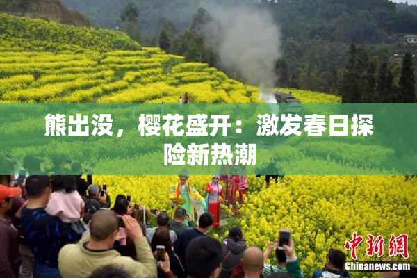 熊出没，樱花盛开：激发春日探险新热潮