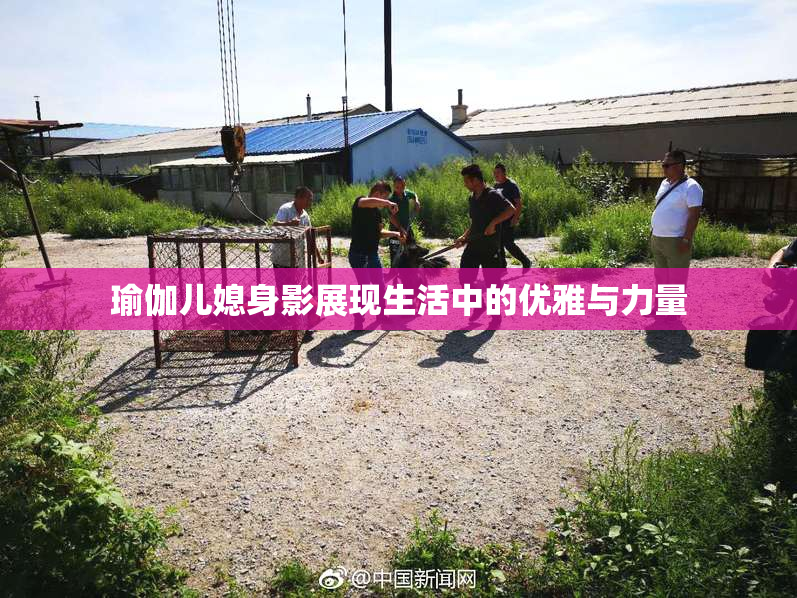 瑜伽儿媳身影展现生活中的优雅与力量