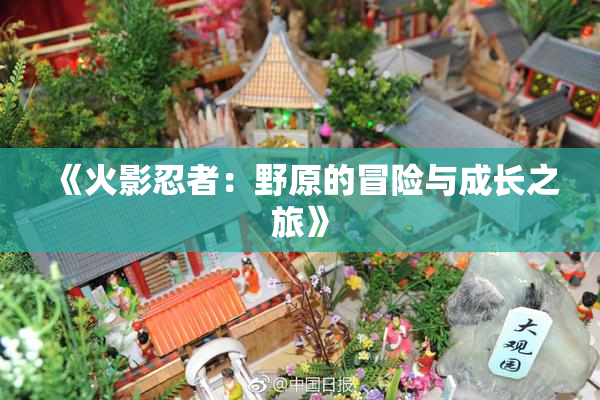 《火影忍者：野原的冒险与成长之旅》