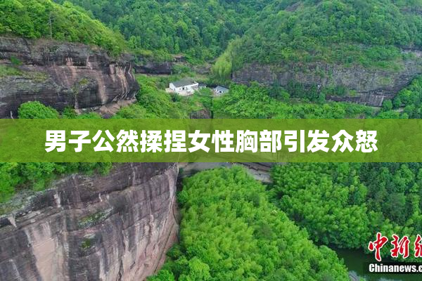 男子公然揉捏女性胸部引发众怒