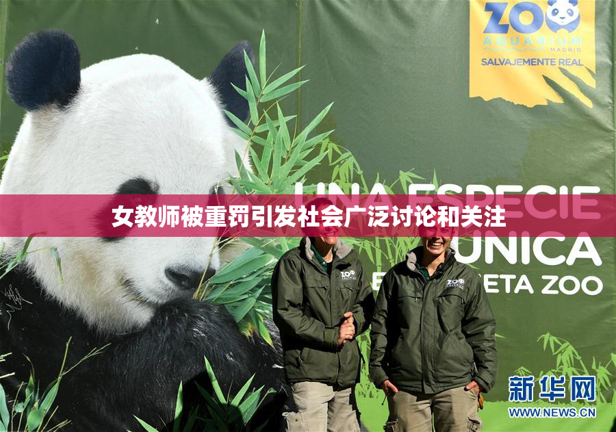 女教师被重罚引发社会广泛讨论和关注