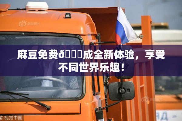 麻豆免费🔞成全新体验，享受不同世界乐趣！
