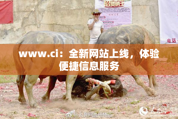 www.ci：全新网站上线，体验便捷信息服务