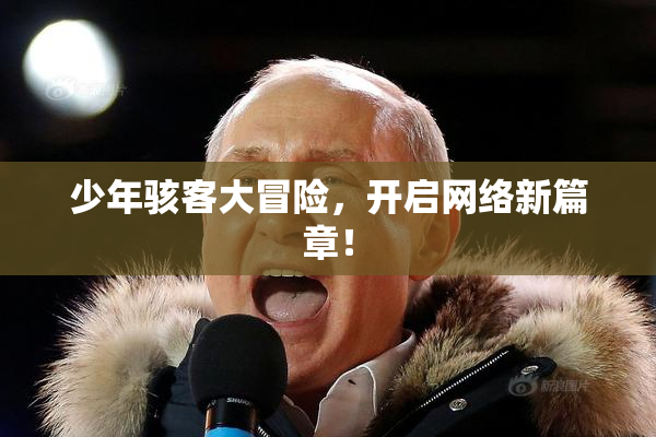 少年骇客大冒险，开启网络新篇章！