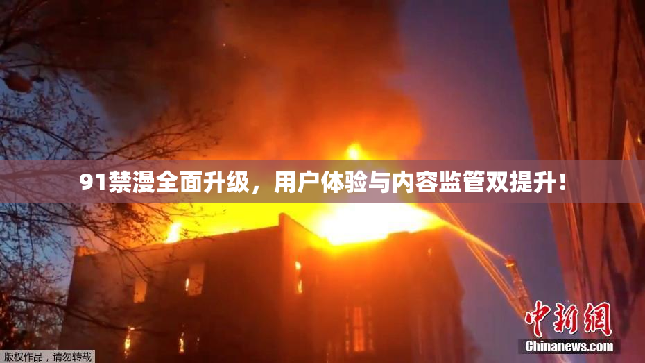 91禁漫全面升级，用户体验与内容监管双提升！