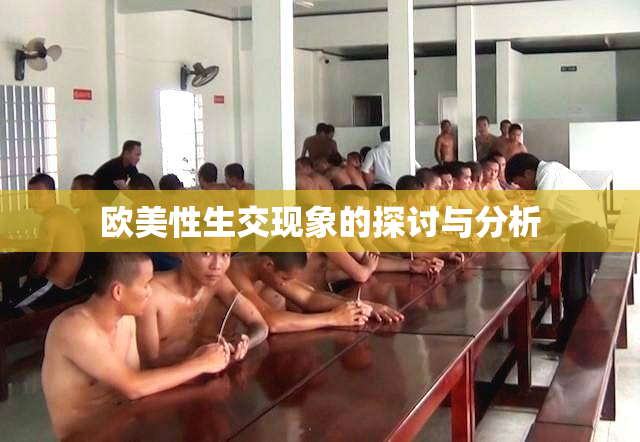 欧美性生交现象的探讨与分析