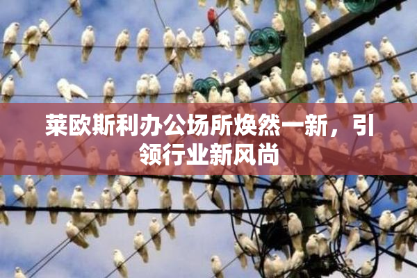 莱欧斯利办公场所焕然一新，引领行业新风尚